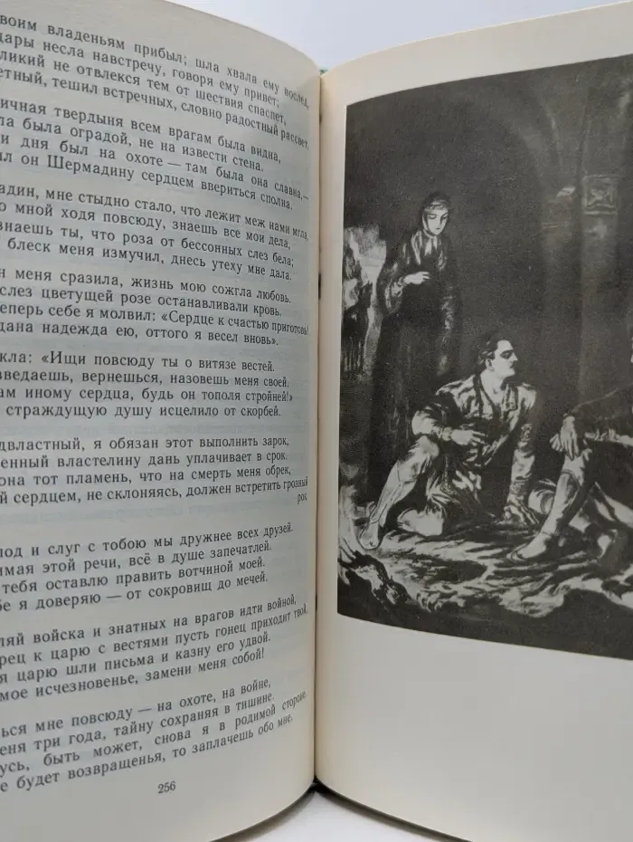 Библиотека поэта. Витязь в тигровой шкуре