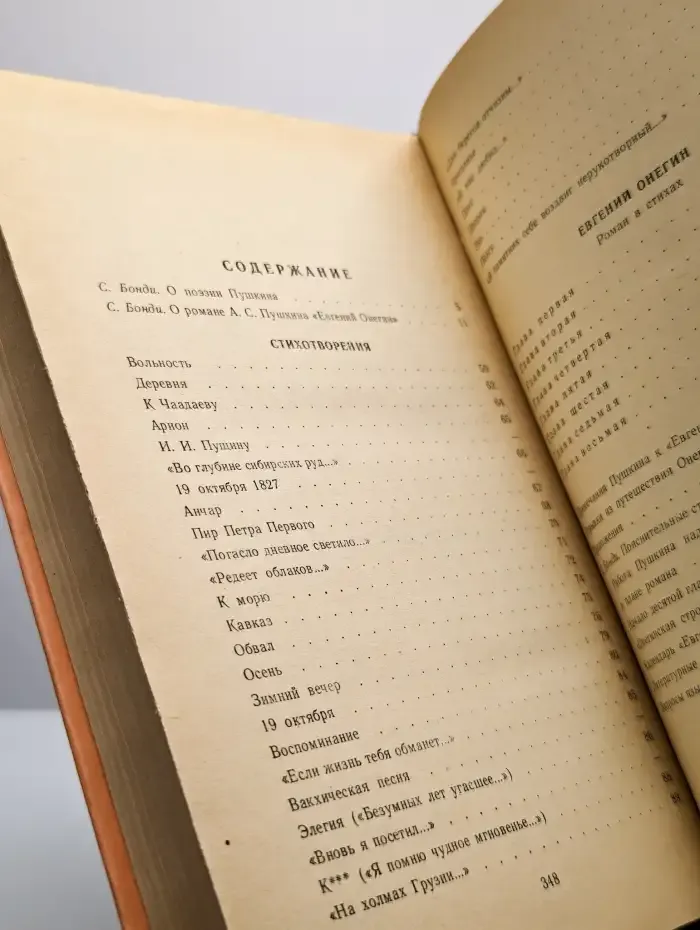 Евгений Онегин. Стихотворения