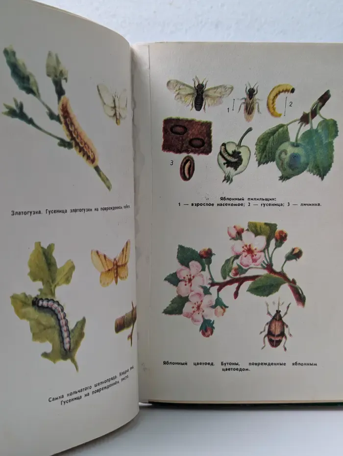 Сады - на радость людям
