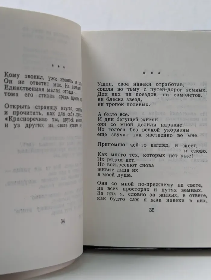 Рябиновый свет