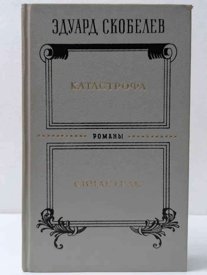 Катастрофа. Свидетель