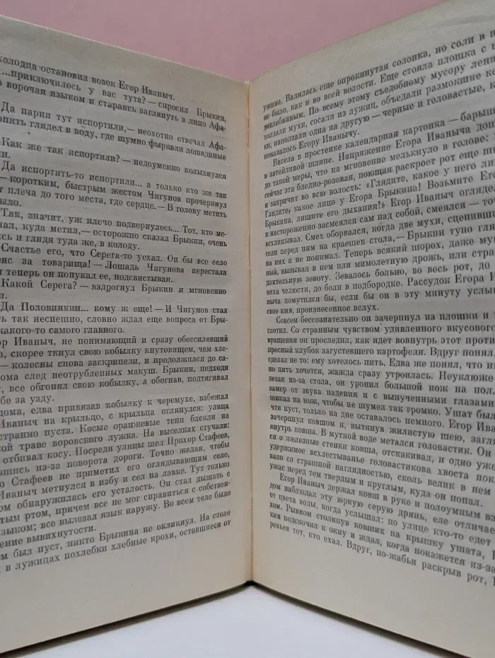 Барсуки