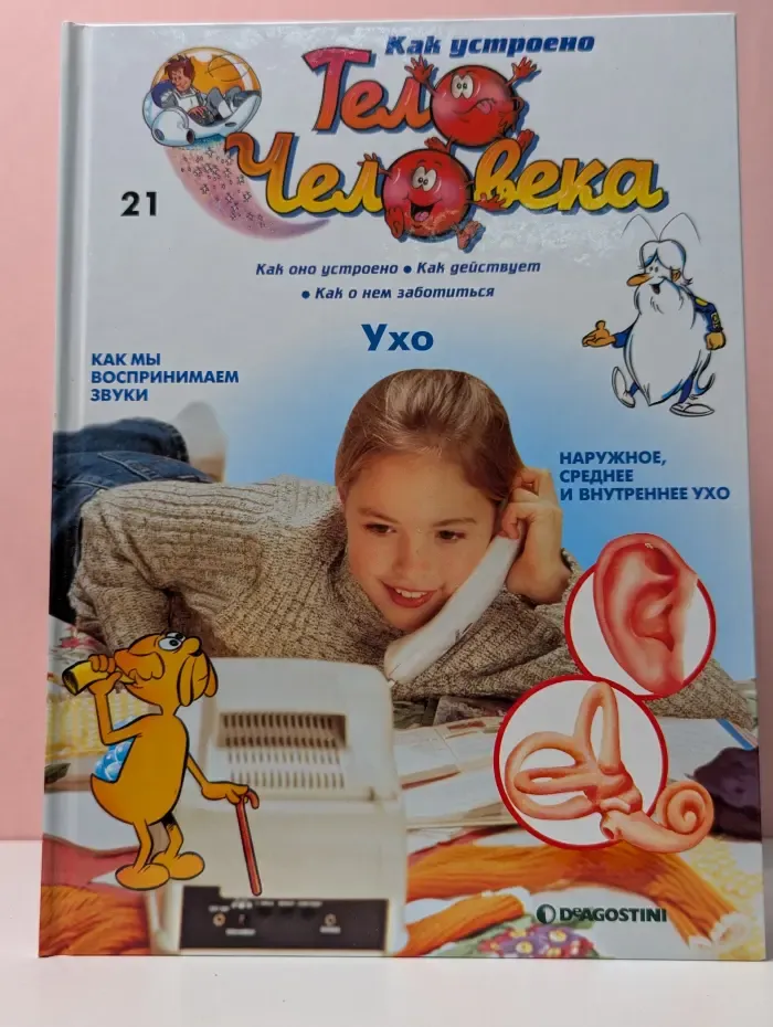 Как устроено тело человека. Выпуск 21. Ухо
