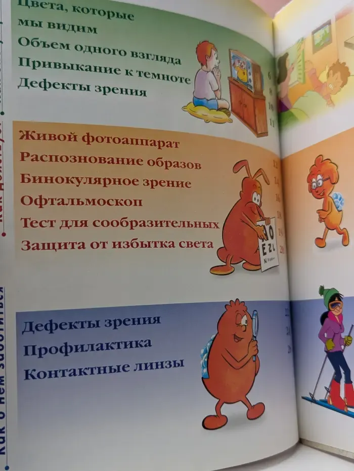 Как устроено тело человека. Выпуск 20. Зрение