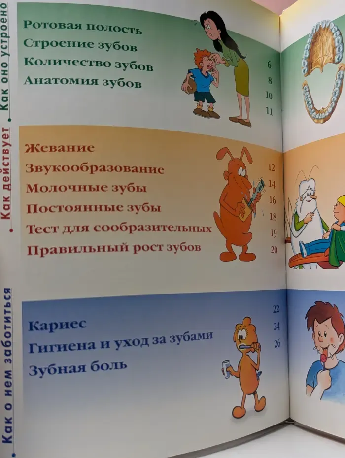 Как устроено тело человека. Выпуск 11. Рот и зубы