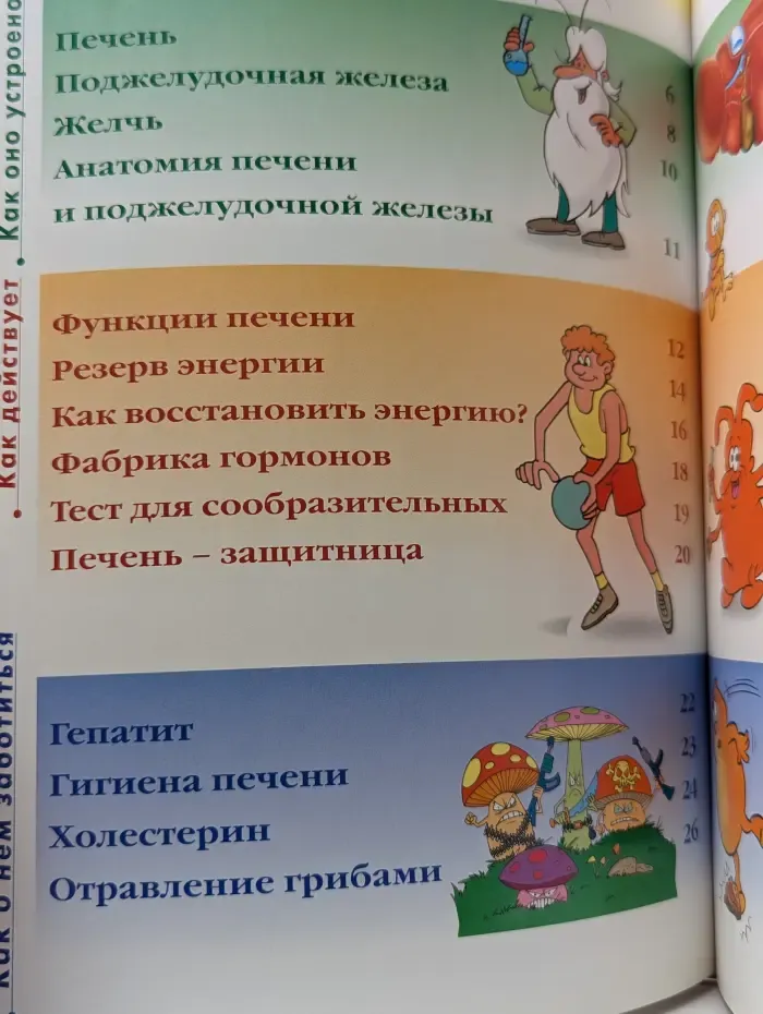 Как устроено тело человека. Выпуск 15. Печень