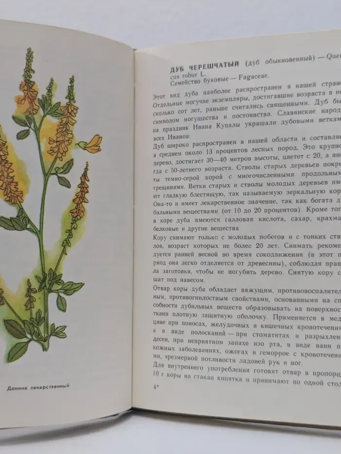 Зеленая аптека