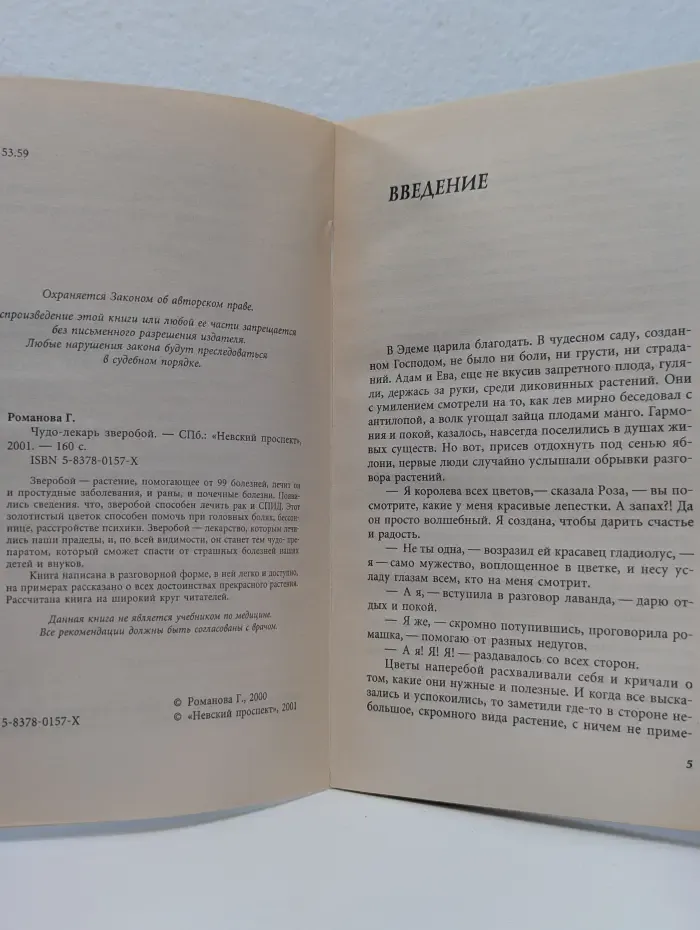 Чудо-лекарь зверобой