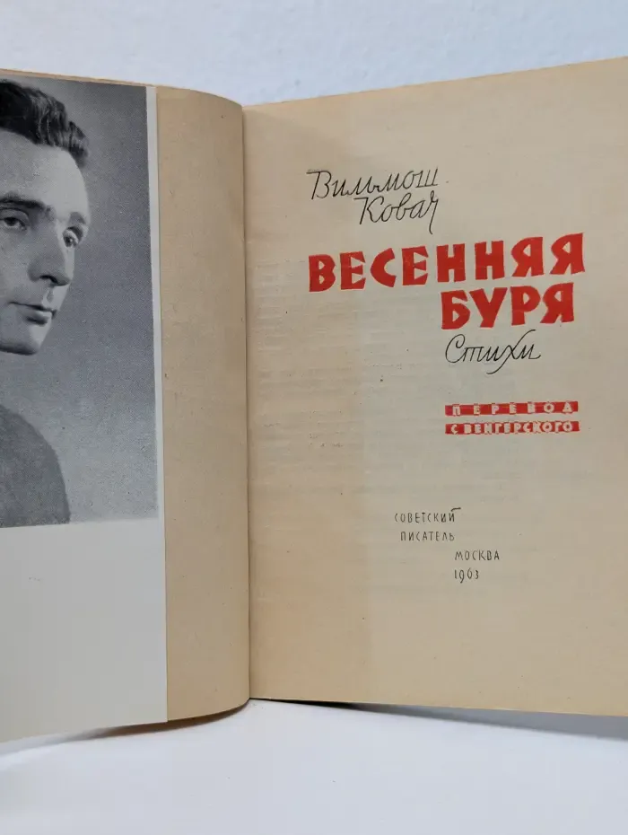 Весенняя буря