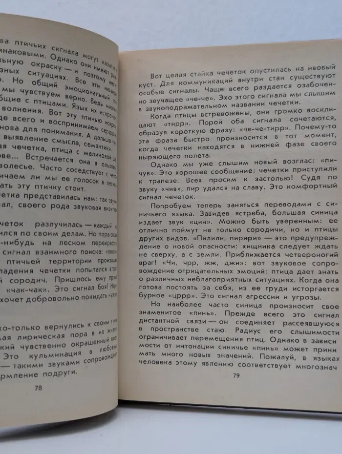 Птицы летят на север