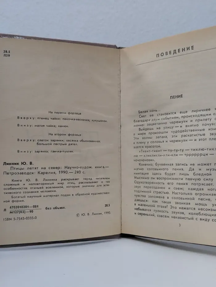 Птицы летят на север