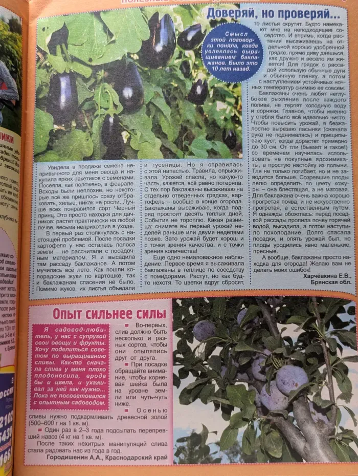 1000 советов. Выпуск № 19/2019