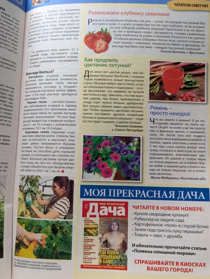 Дарья. Выпуск № 14/2019