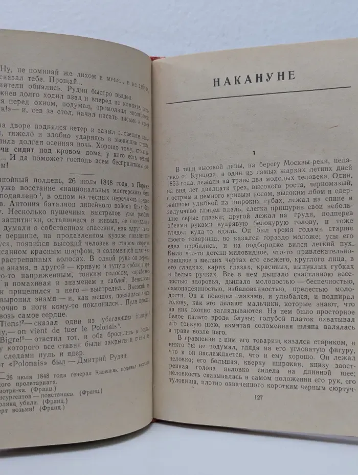 Школьная библиотека. Рудин. Накануне