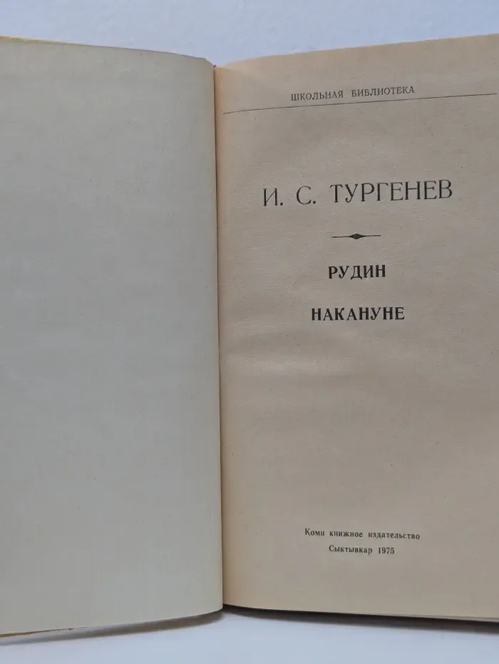 Школьная библиотека. Рудин. Накануне