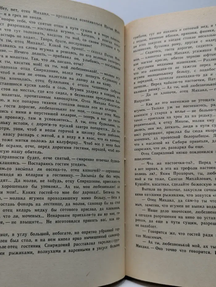 Сельская библиотека нечерноземья. В лесах. Роман в 2 книгах. Книга 1