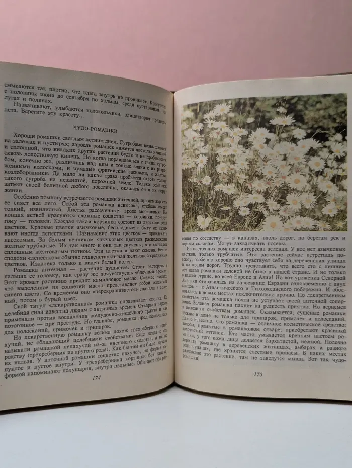 Календарь русской природы