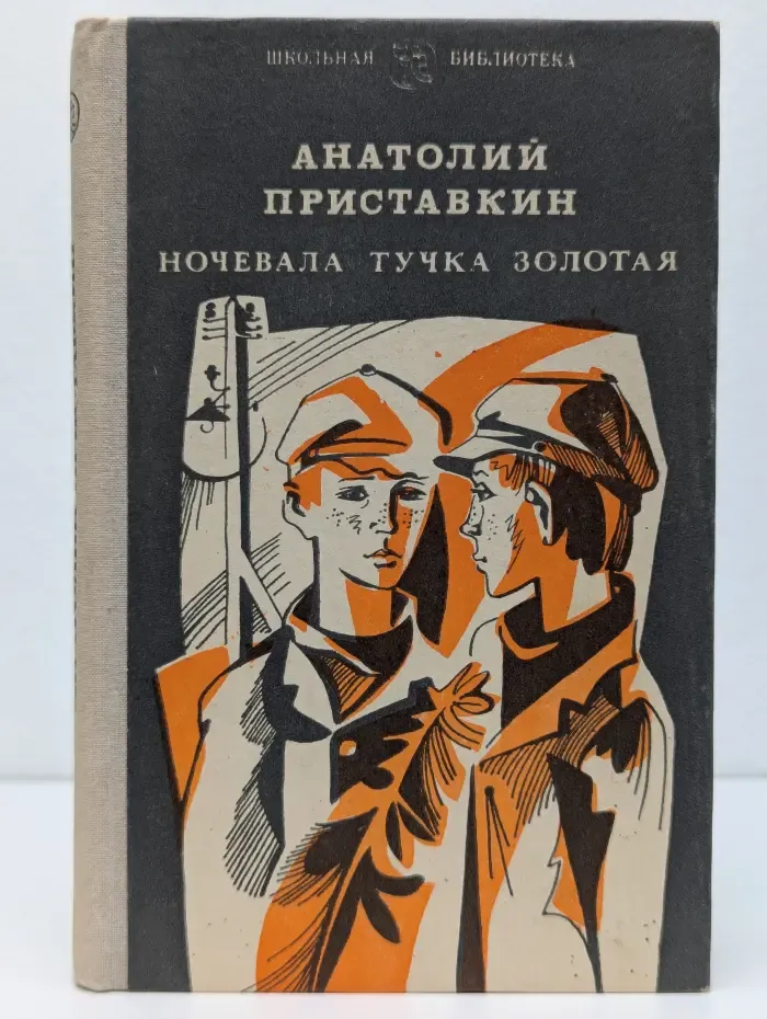 Школьная библиотека. Ночевала тучка золотая