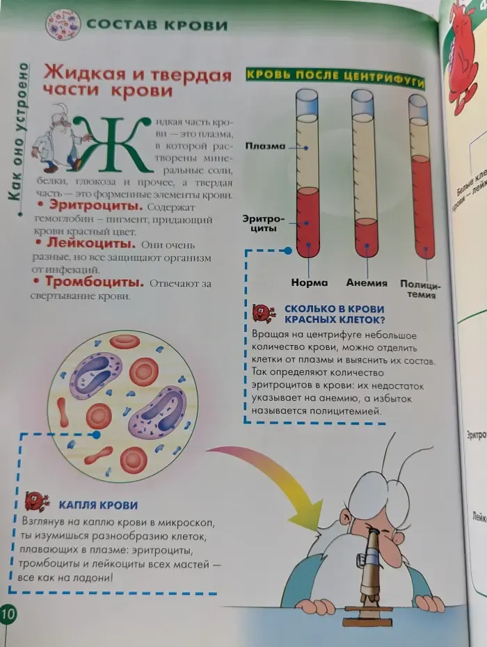 Как устроено тело человека. Выпуск 32. Кровь