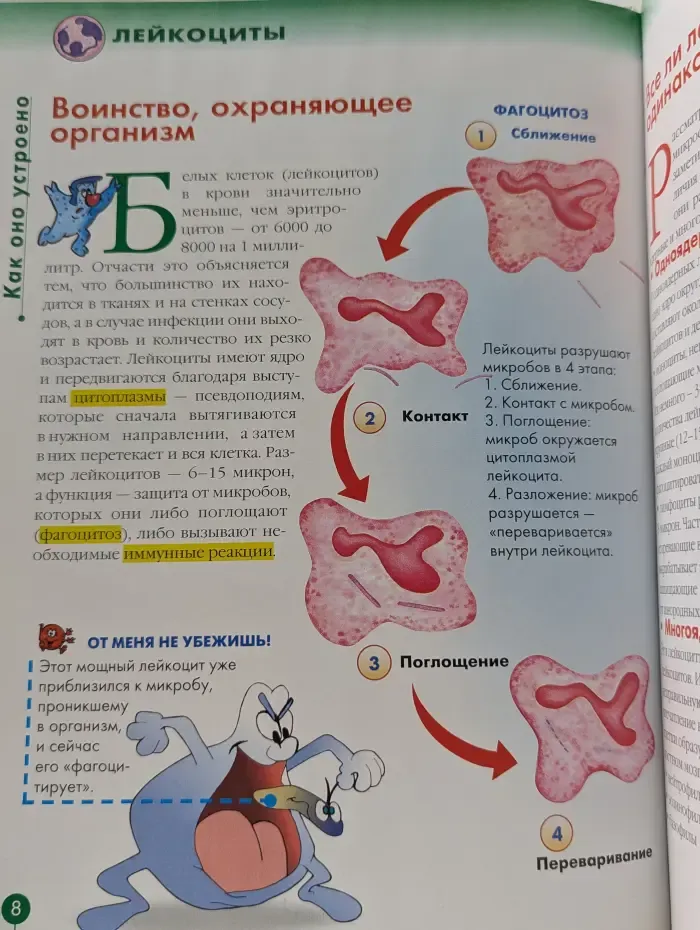 Как устроено тело человека. Выпуск 31. Клетки крови