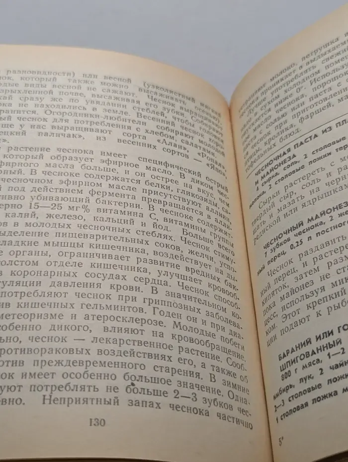 Из леса и огорода - от весны до зимы