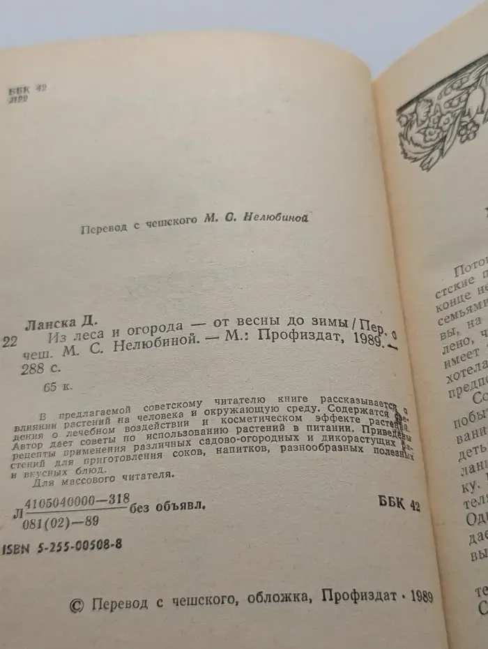 Из леса и огорода - от весны до зимы