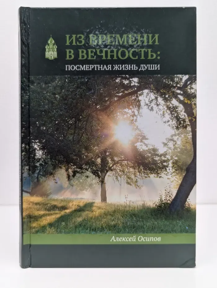 Из времени в вечность. Посмертная жизнь души