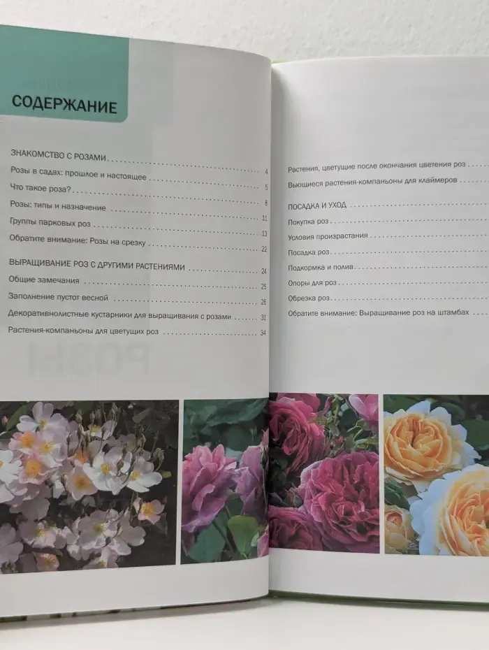 Наш сад. Розы. Иллюстрированный справочник