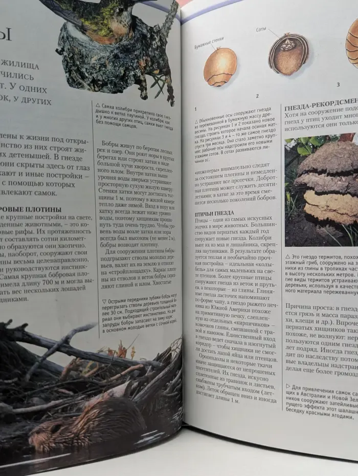 Большая иллюстрированная энциклопедия живой природы