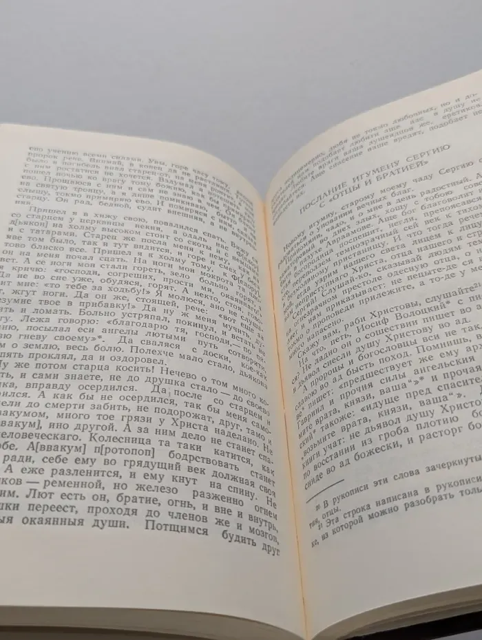 Русский север. Житие протопа Аввакума, им самим написанное и другие его сочинения