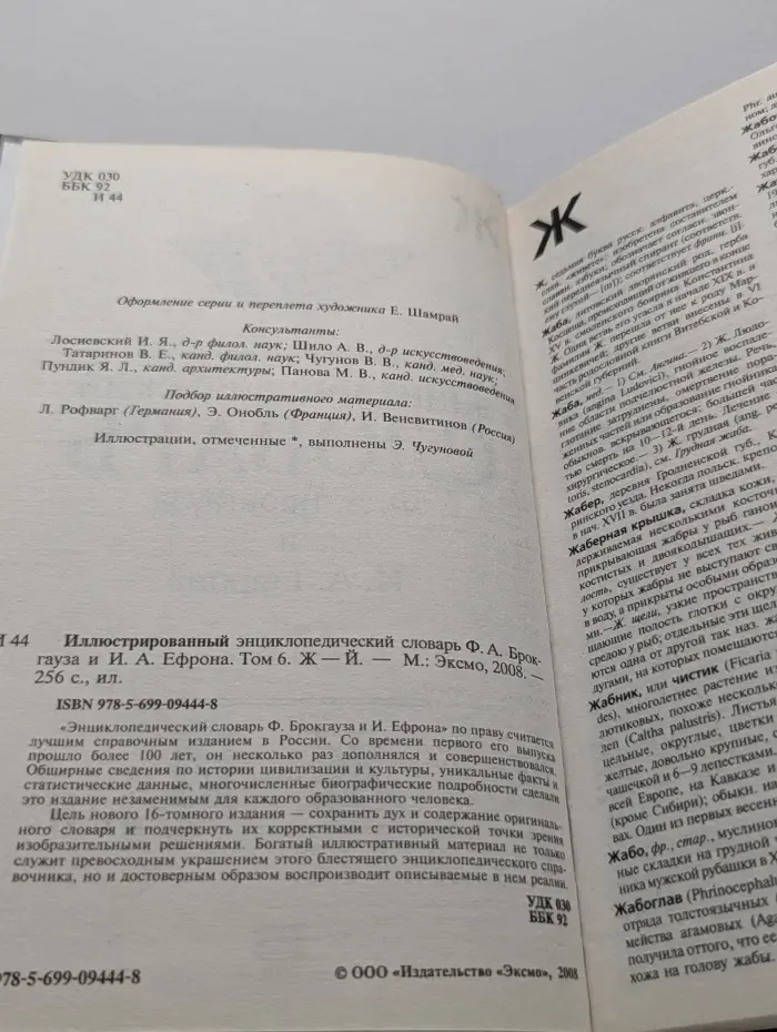 Иллюстрированный энциклопедический словарь Ф. А. Брокгауза и И. А. Ефрона. Том 6