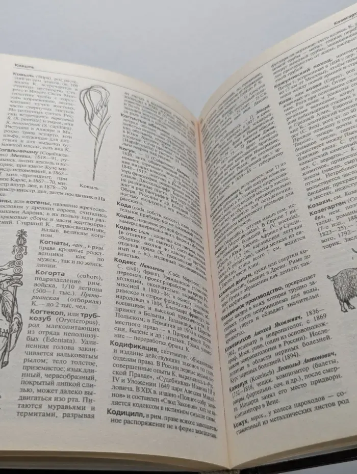 Иллюстрированный энциклопедический словарь Ф. А. Брокгауза и И. А. Ефрона. Том 7. К