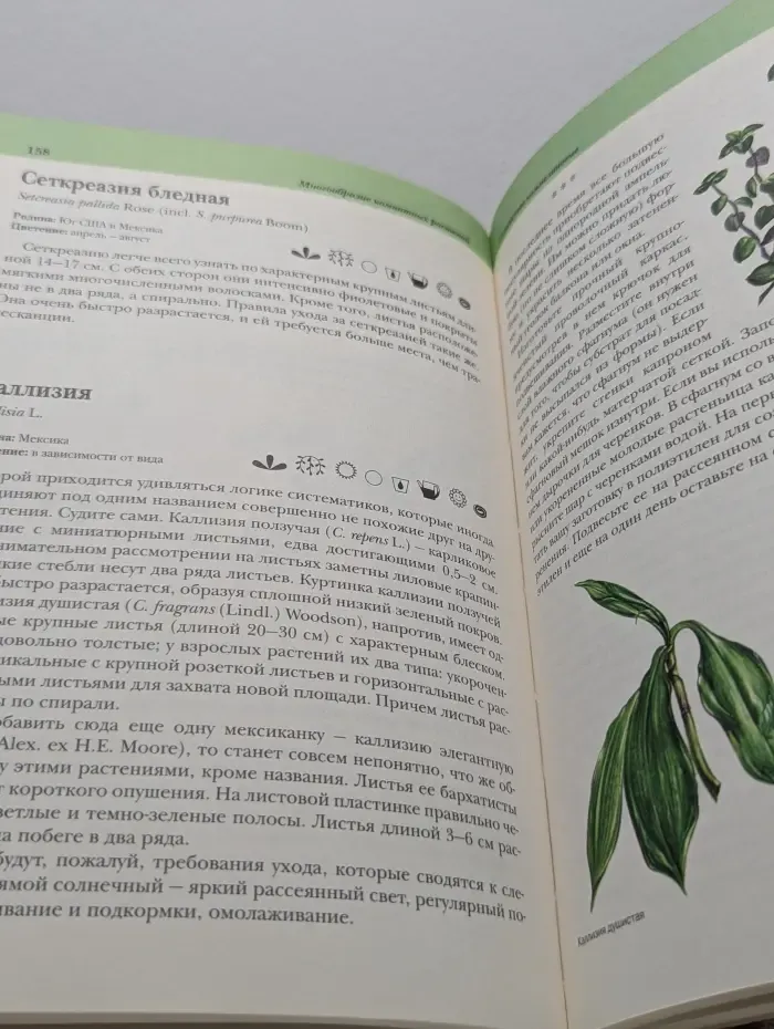 Мой дом. Комнатные растения
