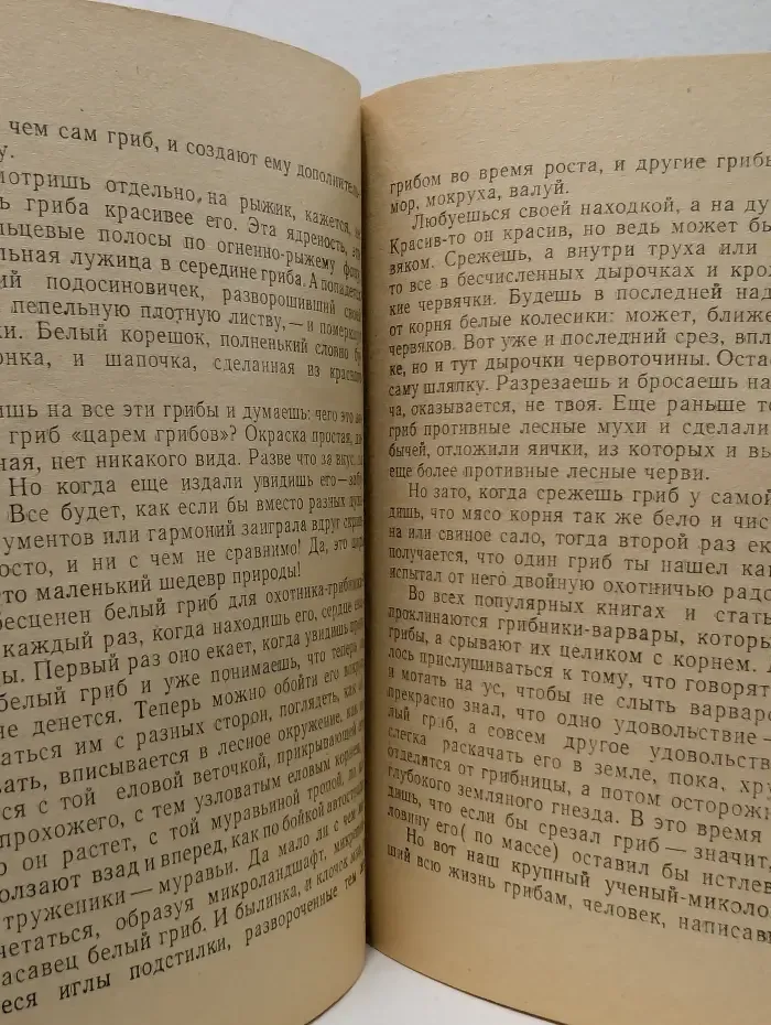 По грибы. Заметки фенолога