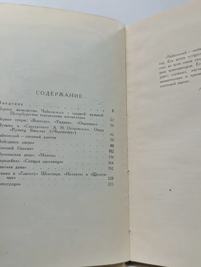 Чайковский и музыкальный театр