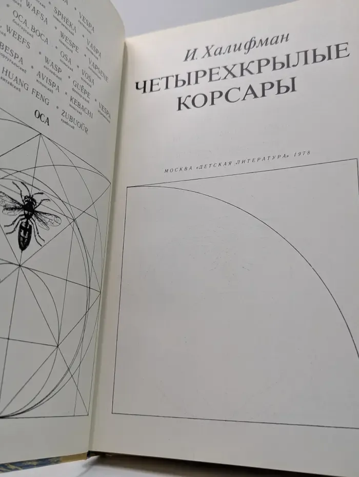 Четырёхкрылые корсары