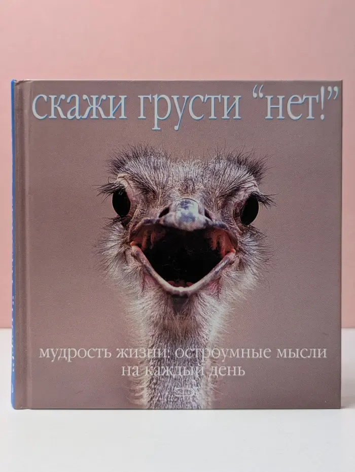 Скажи грусти нет!. Мудрость жизни. Остроумные мысли на каждый день