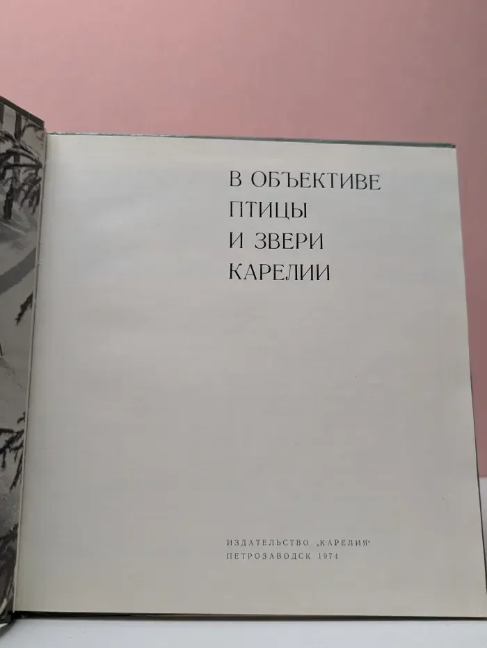 В объективе птицы и звери Карелии