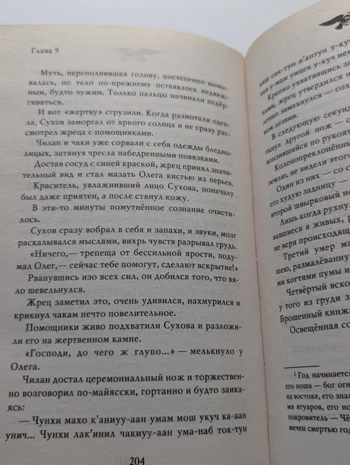 Историческая фантастика. Пират