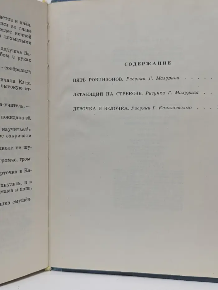 Летающий на стрекозе