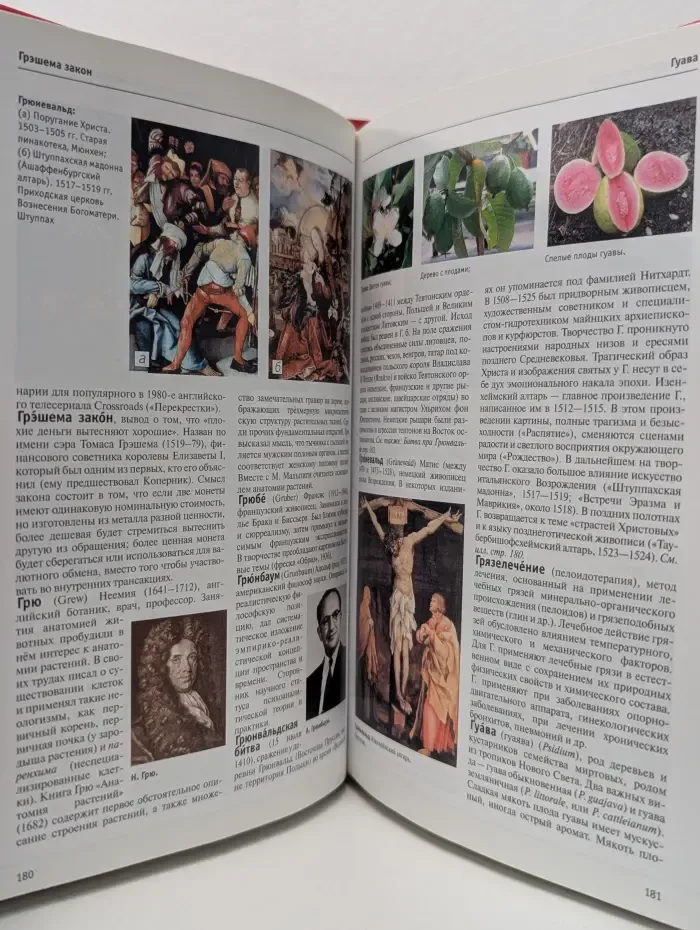 Большая иллюстрированная энциклопедия. Том 8. Гоф-Дер