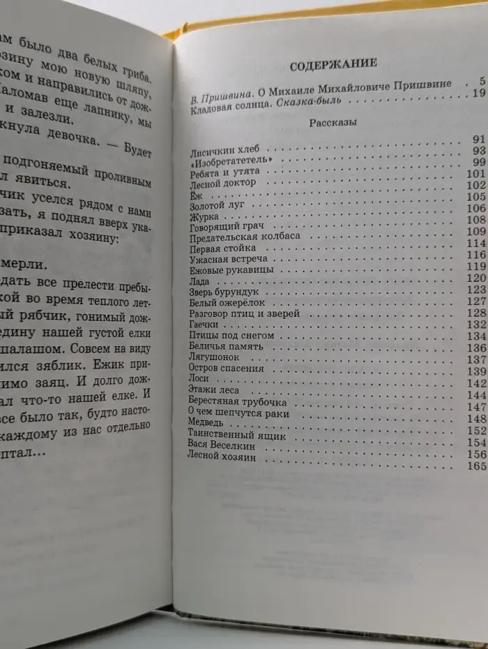 Школьная библиотека. Кладовая солнца