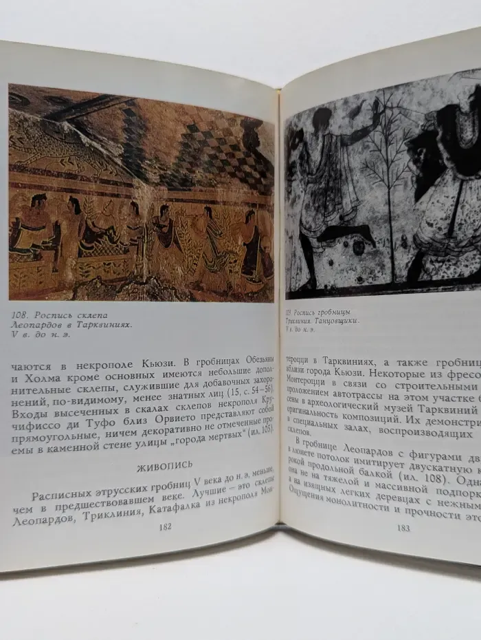 Очерки истории и теории изобразительных искусств. Искусство этрусков