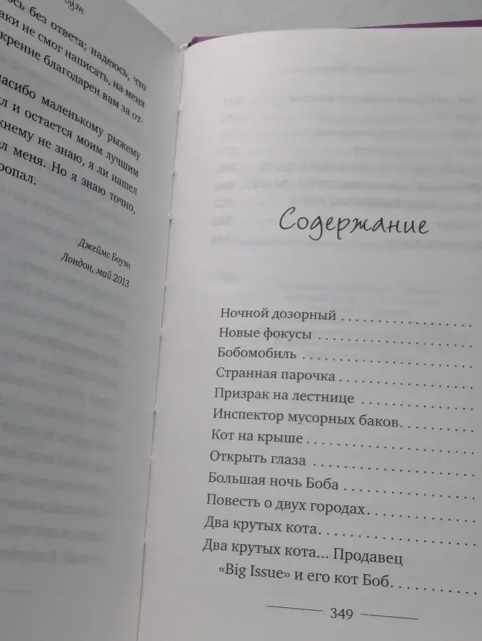 Мир глазами кота Боба