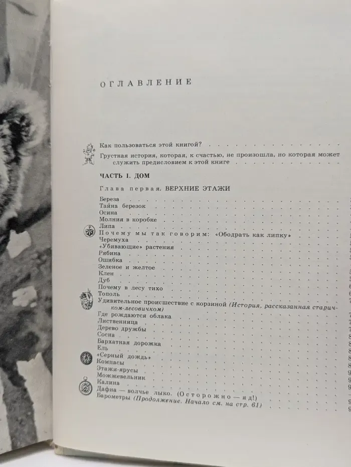 Большая книга леса