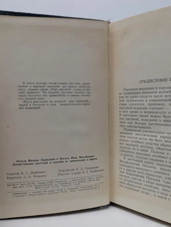 Лекарственные растения и способы их применения в народе
