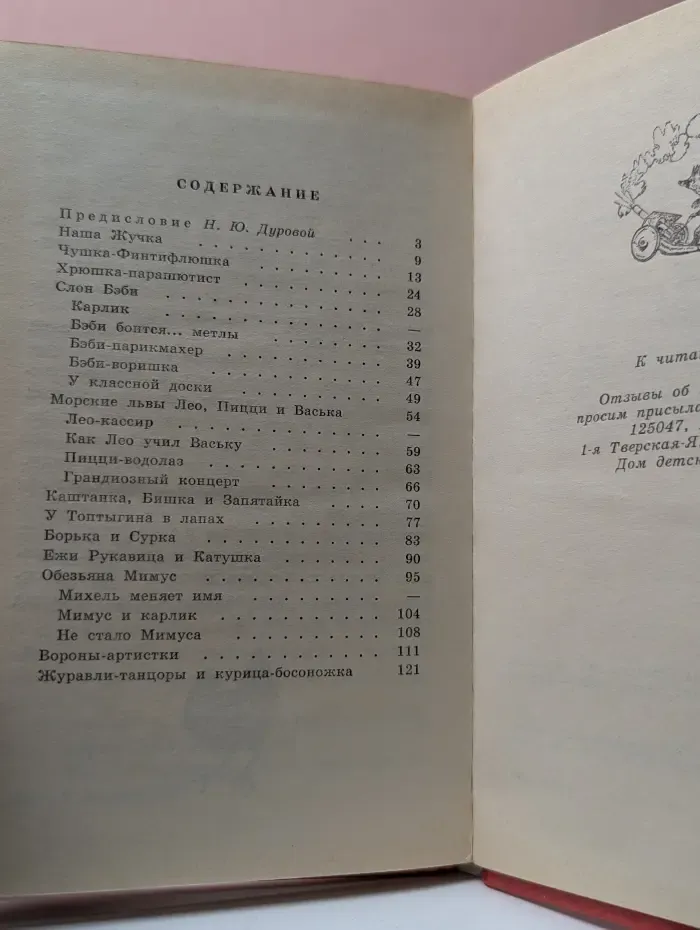 Школьная библиотека. Мои звери