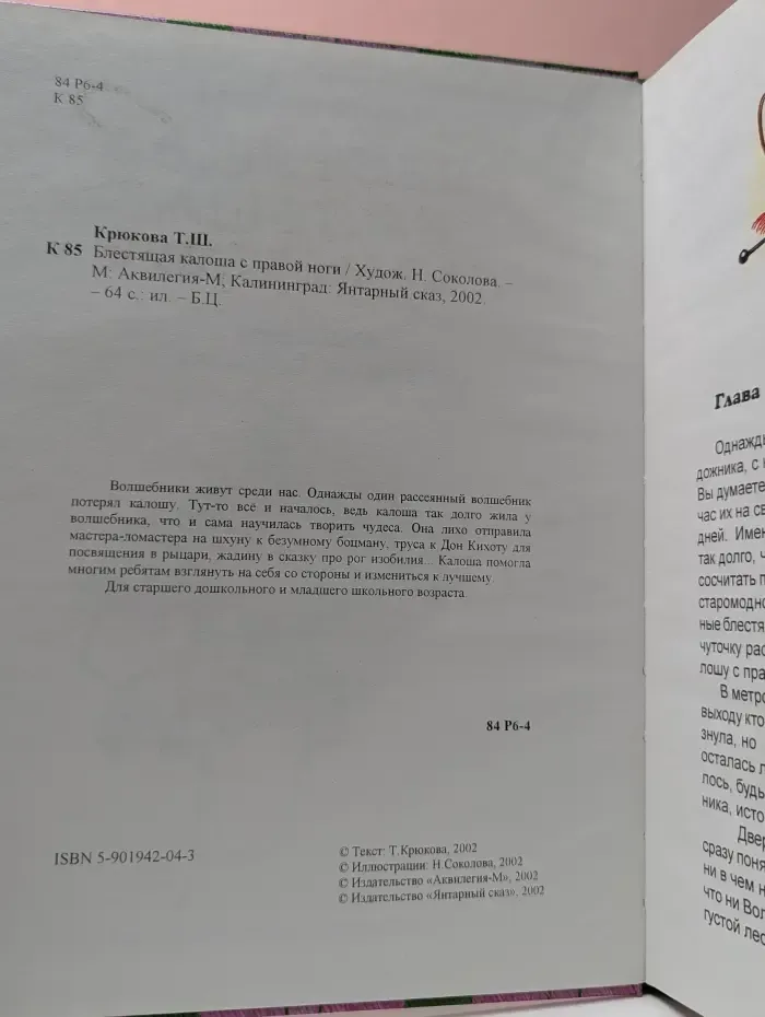 Блестящая калоша с правой ноги