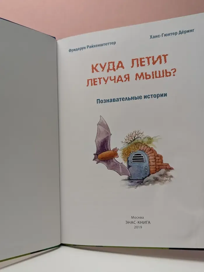 Куда летит летучая мышь? Познавательные истории