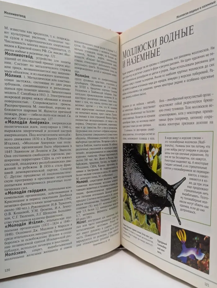 Большая иллюстрированная энциклопедия. Том 18. Мис - Нас